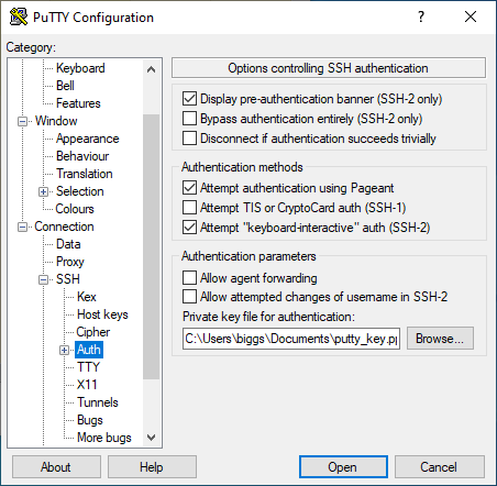 The PuTTY 'auth' tab'.