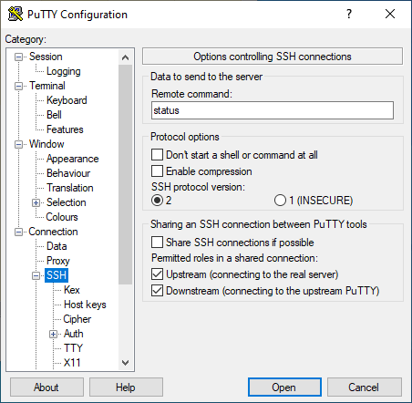 The SSH tab. Here 'status' is specified as the remote command